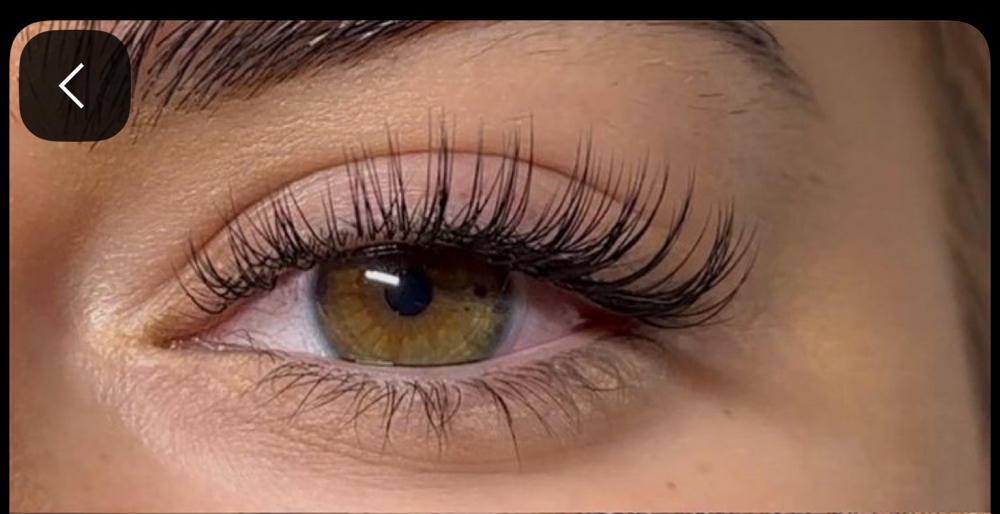 Clasicc Lash Set