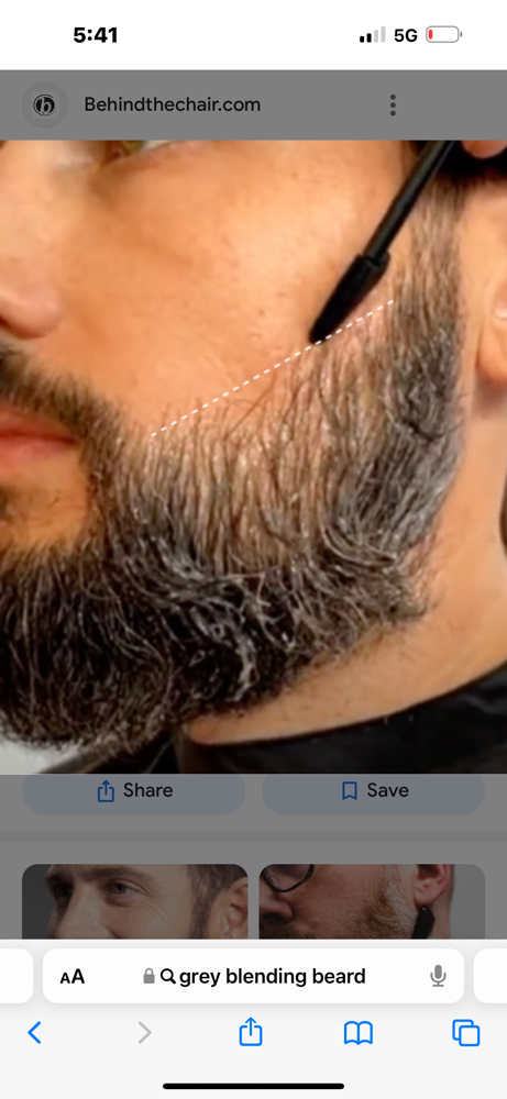 Beard Grey Blending