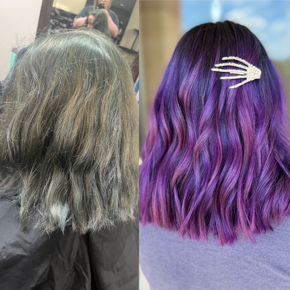 Vivid Refresh