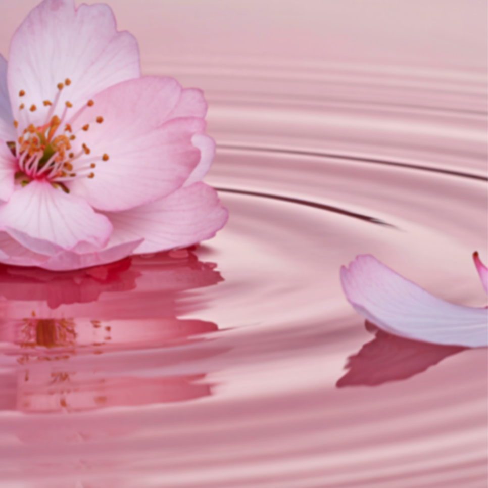 ✨ Signature Add-Ons at Eden Rose Health and Wellness in Bridgeport, CT