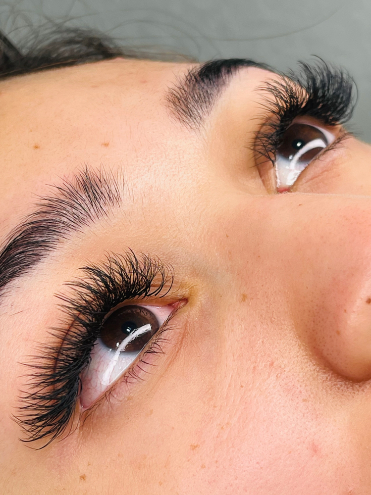 Volume Lash Extention