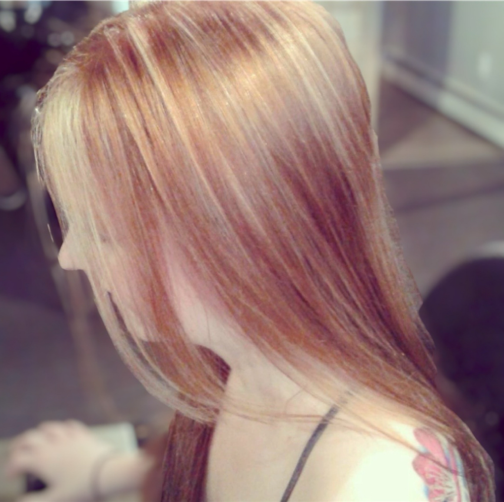 Gloss / Toner Refresh at Wildhorse Salon in Shelbyville, TN