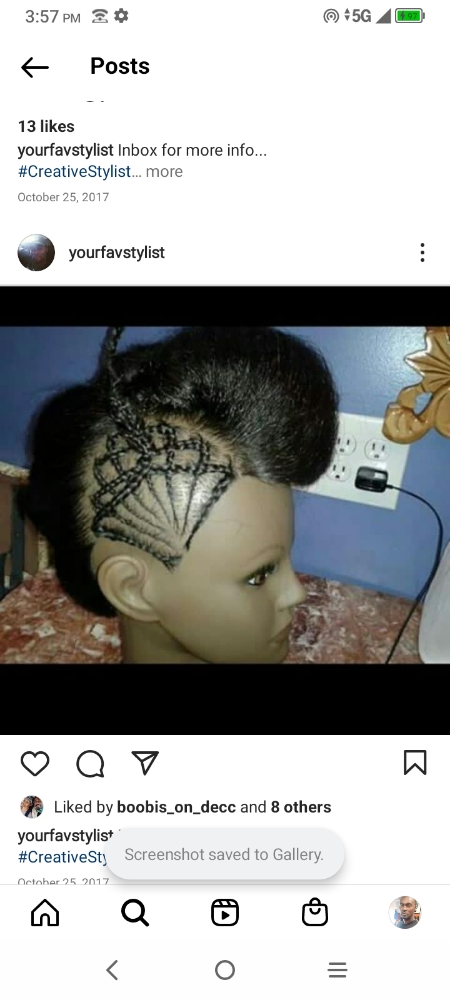 Adult Design Braids