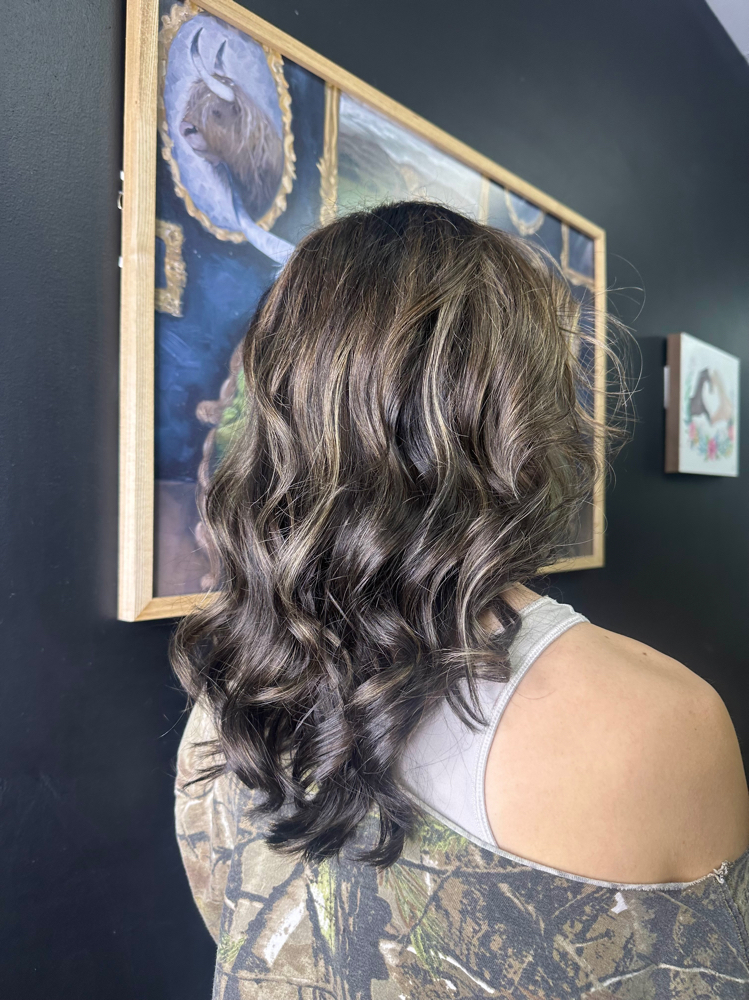 Partial Highlight + All Over Color at Haven & Mane in Crab Orchard, WV
