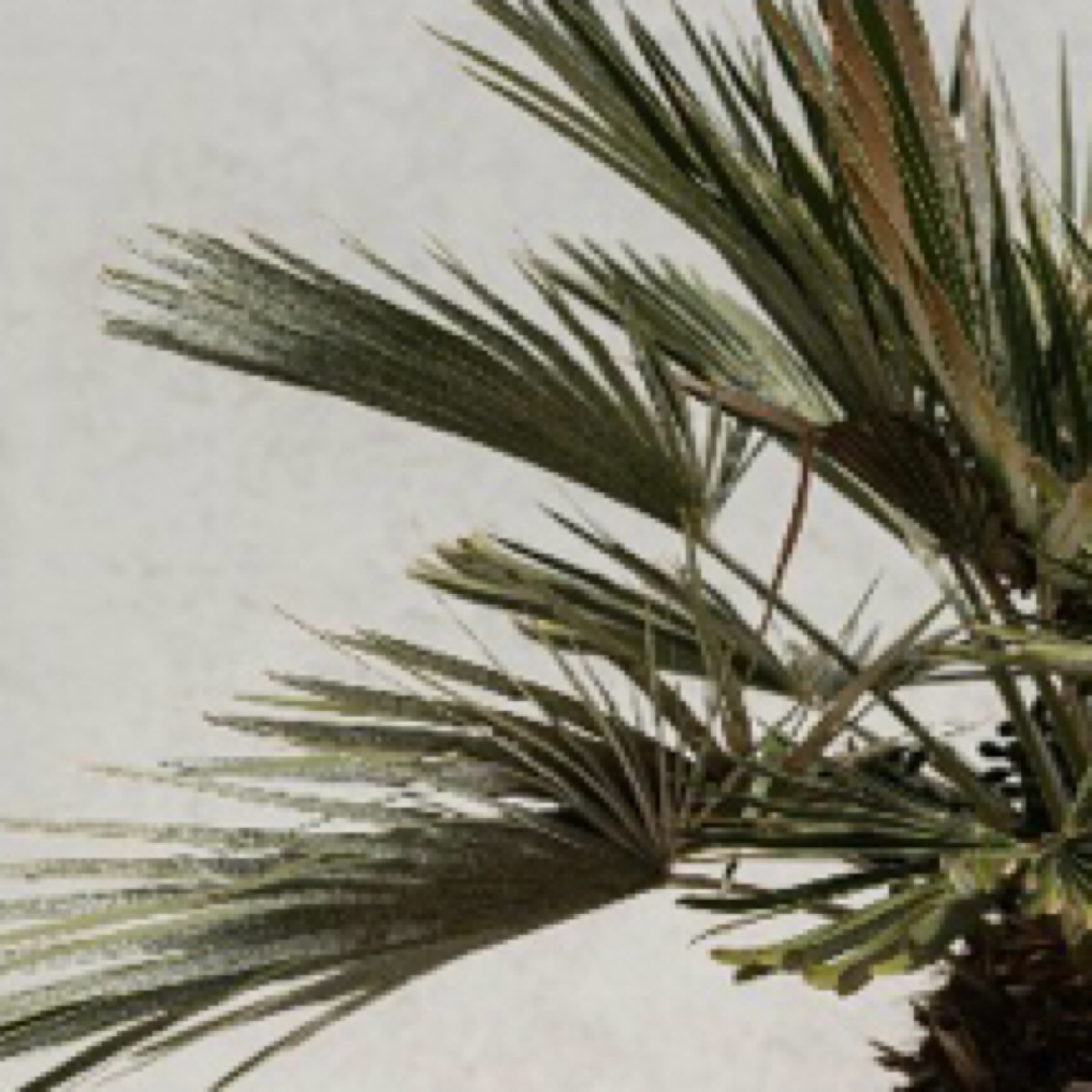 Chrome at BREATHE  Beauty Studio in Midland, MI