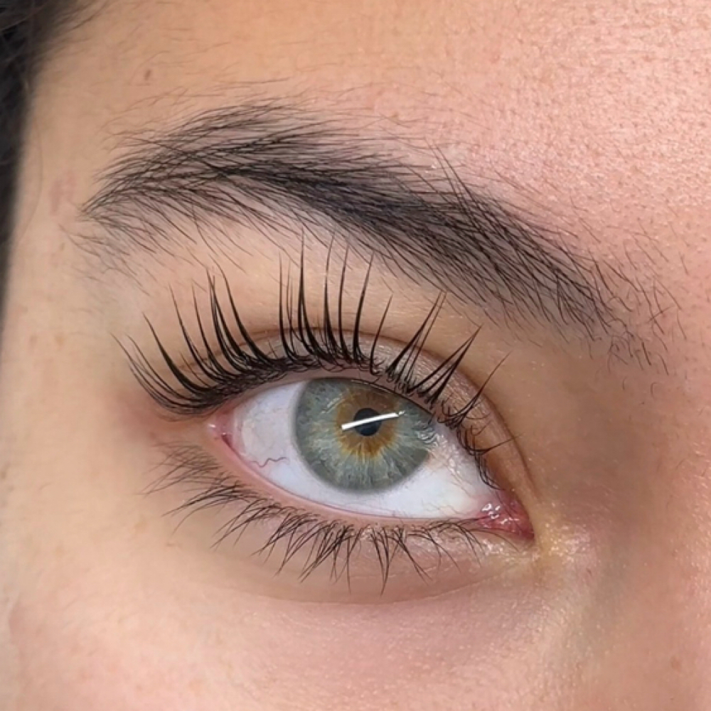 Korean Lash Lift + tint at Lashes and Gallery in Crystal Lake, IL