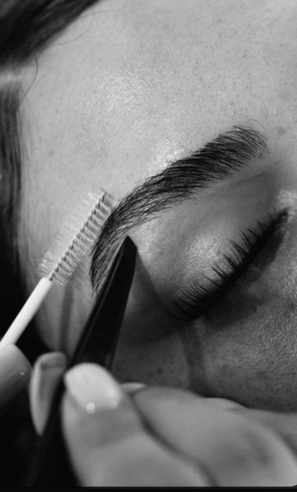 Eyebrow/Lash Tint Only at Lavish Salon & Spa in Rock Island, IL