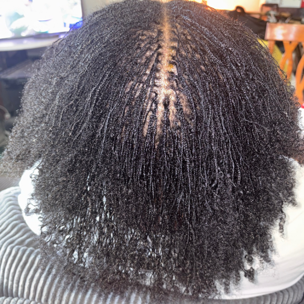 Micro Braidloc Installation at Kindred & Koil in Danville, IN