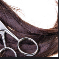 Womens Haircut|Blowout