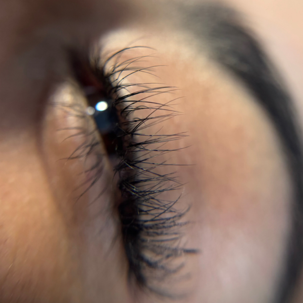 Eyelash refill at Leita Beauty Studio in Louisville, KY