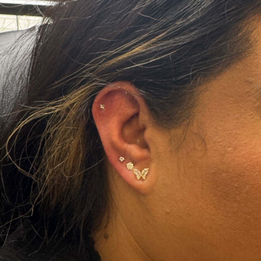 Any Piercing at The Lash & Beauty Studio in Phoenix, AZ