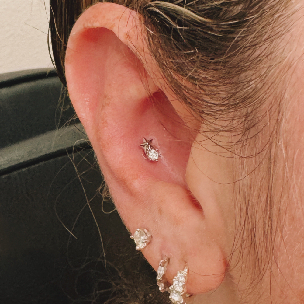 Conch Piercing