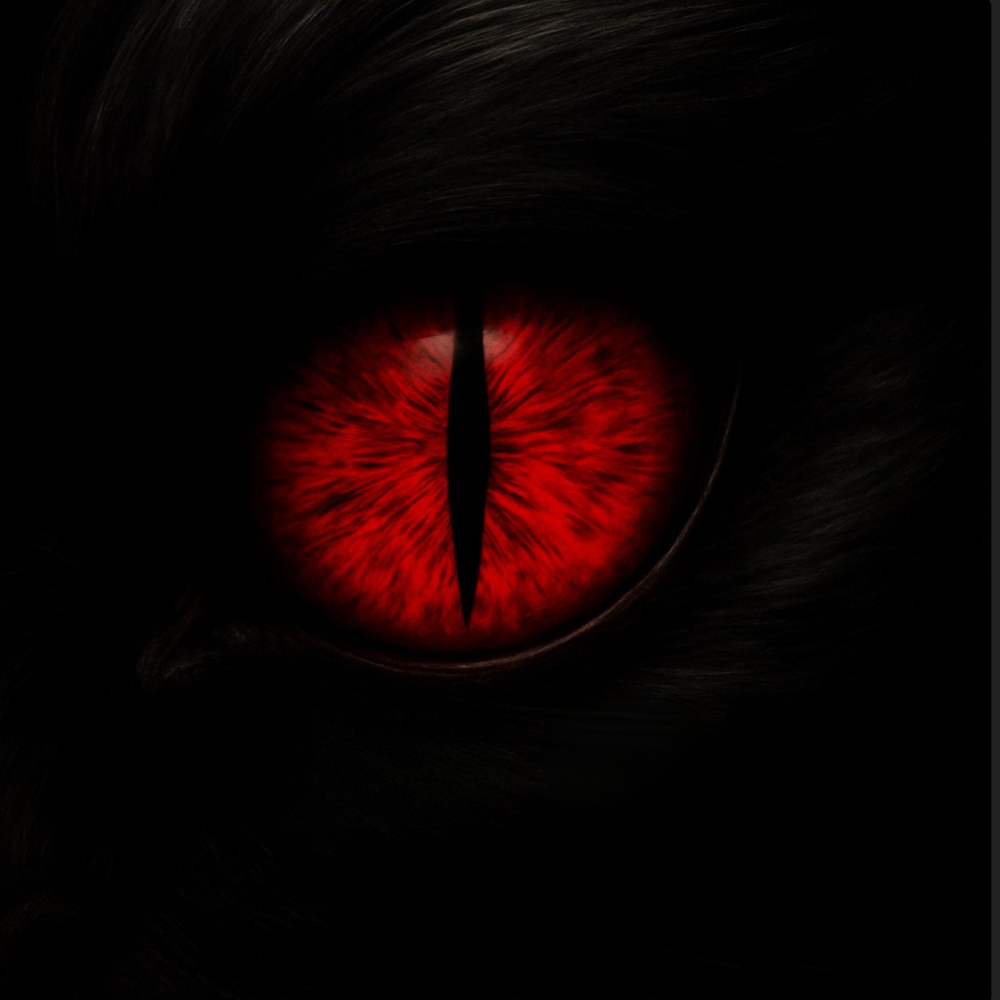 Gel Toes at Sinister Studio Nails in West Jordan, UT