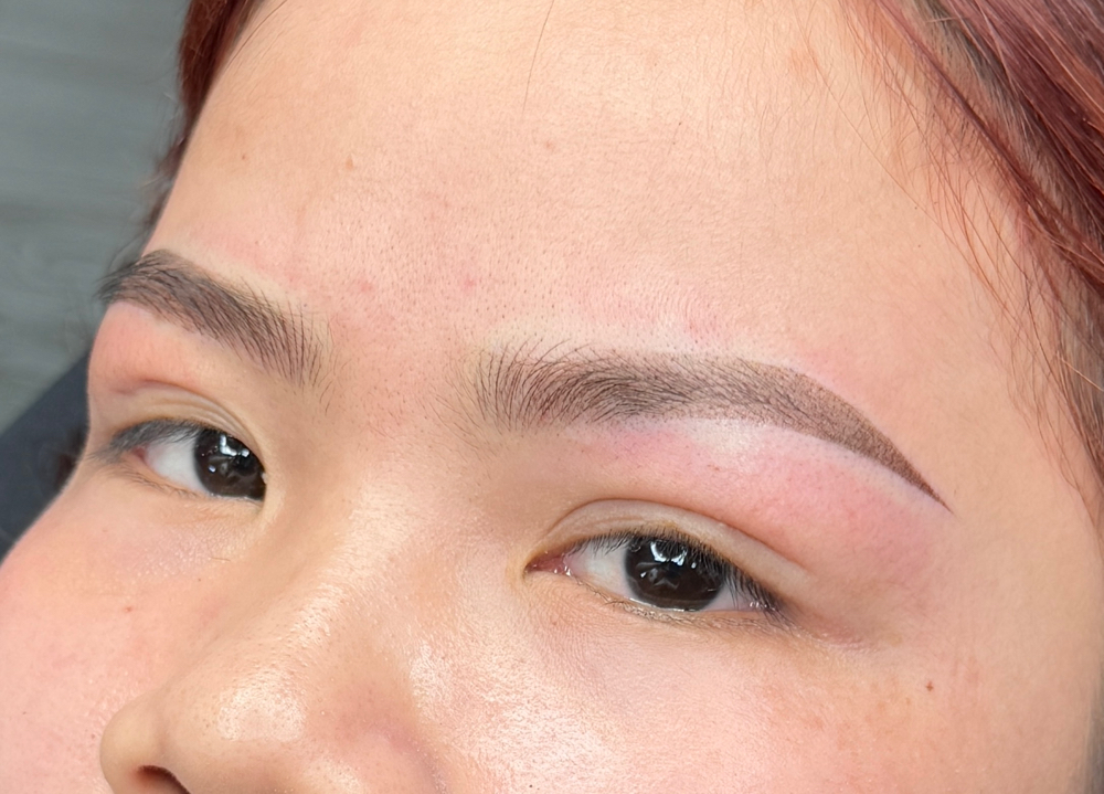 Combo Brows at Brows By Tiffany in Midlothian, VA