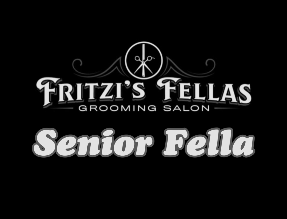 Senior Fella (65+)