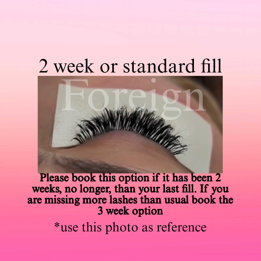 Foreign ReFill 2 Week at Speak Now Lashes in Kingman, AZ