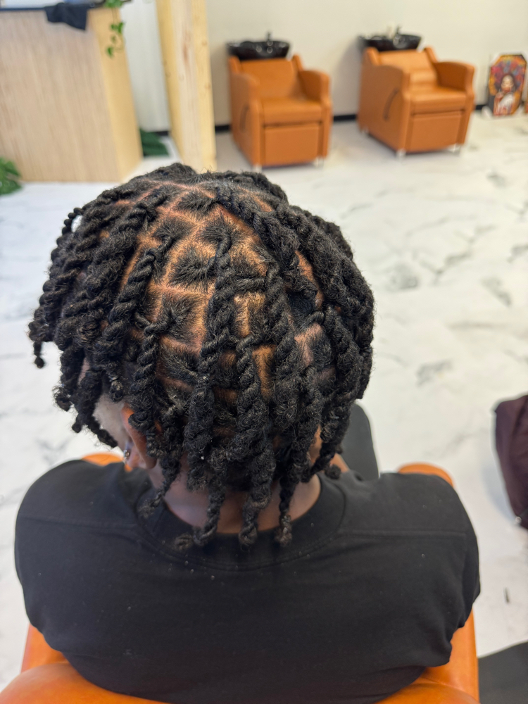 Two Strand Twist Add On Retwist