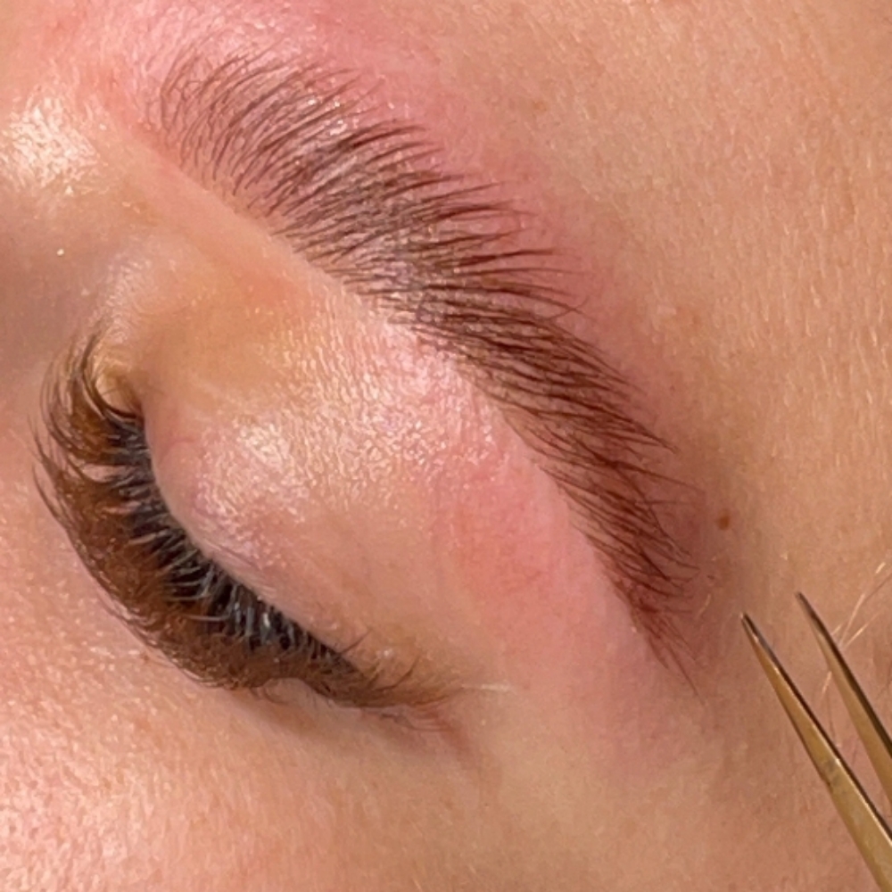 Brow Shaping, Tint, &Wax at Gorgeous Lashes by Arlene in Andrews, TX