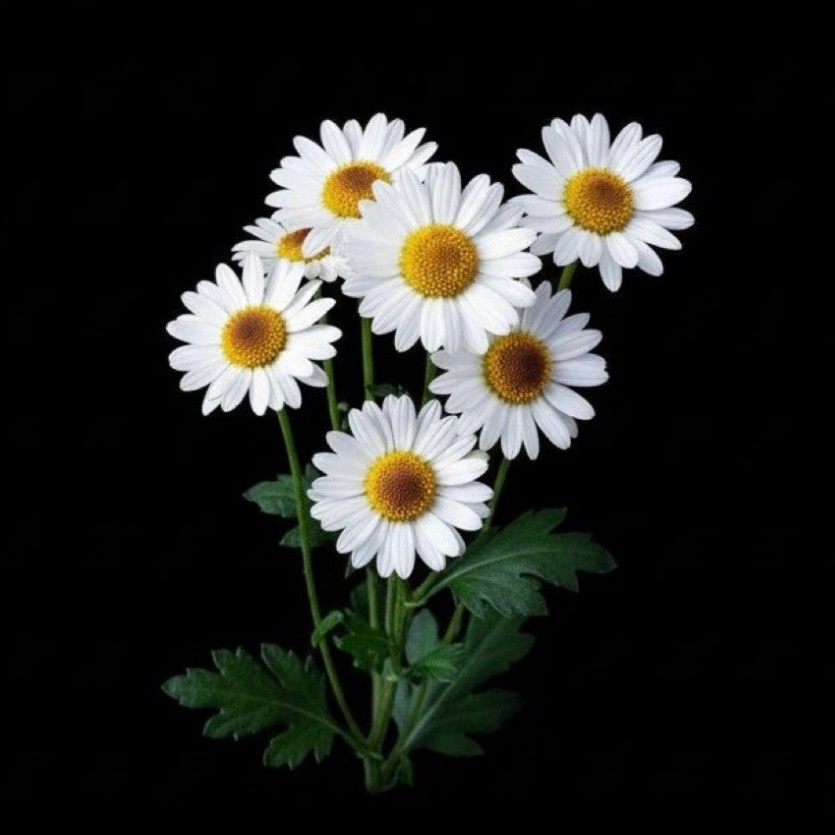 Kid's Haircut at JR Hair Co. in Lincoln, NE