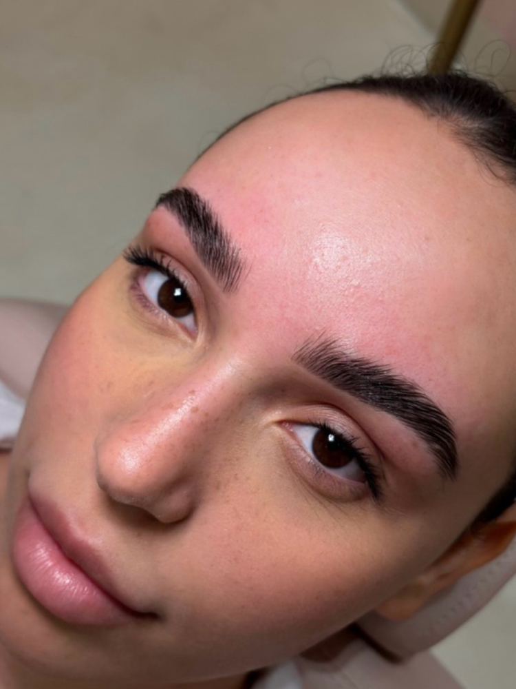 The Signature Brow Trio
