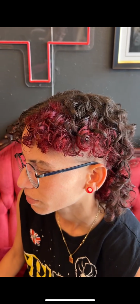 Cut y Definición De Rizos/Estilo at The Curl Lab PR in San Juan, PR