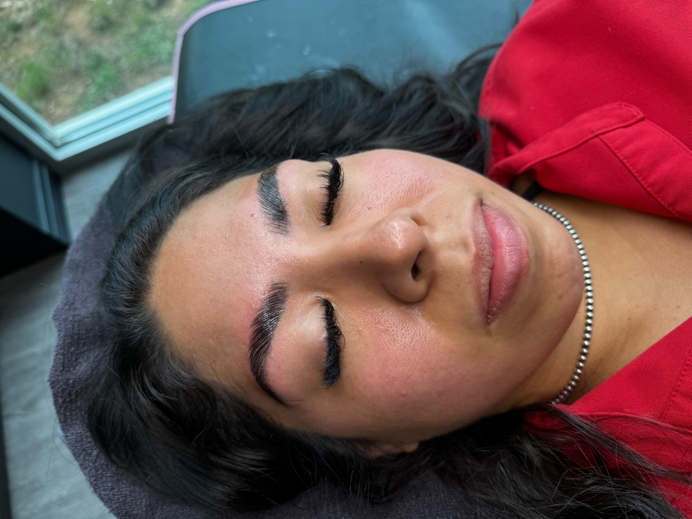 Brow Wax, Lamination, & Tint