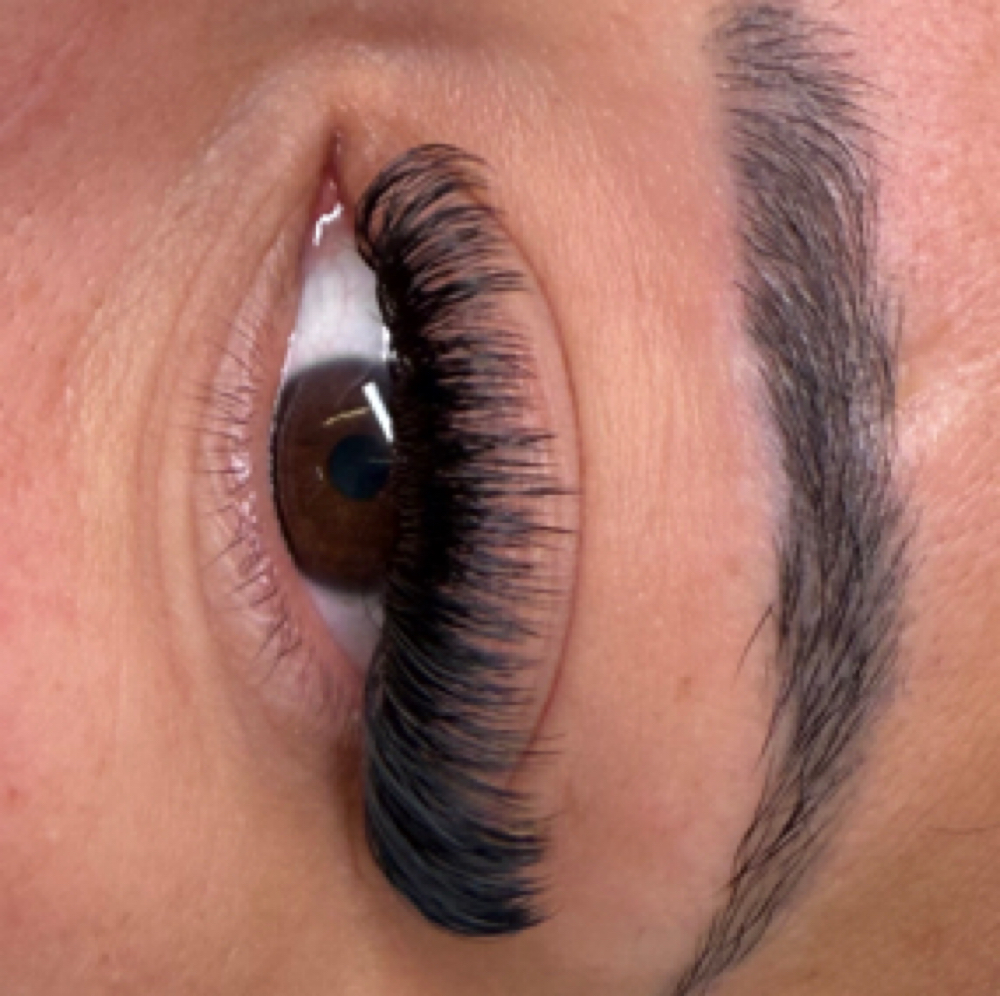 Volume Full Set at Fancy and Feathered in New Windsor, NY