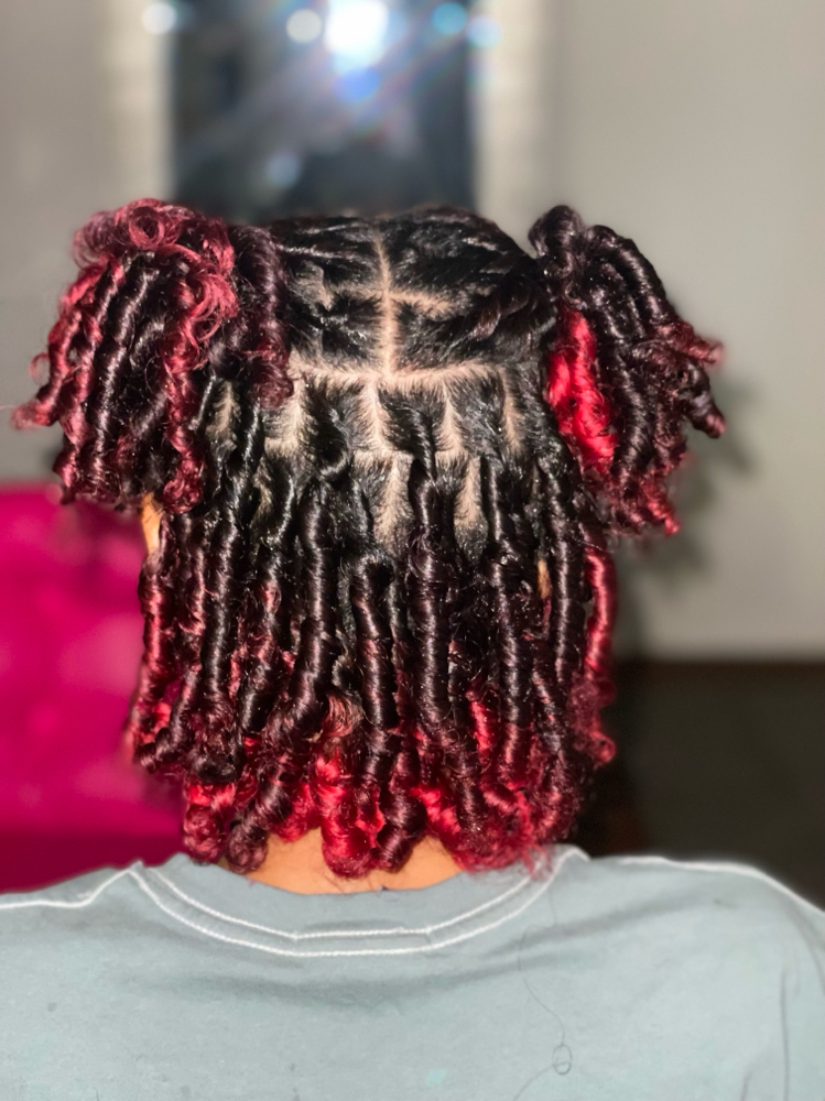 Starter Locs