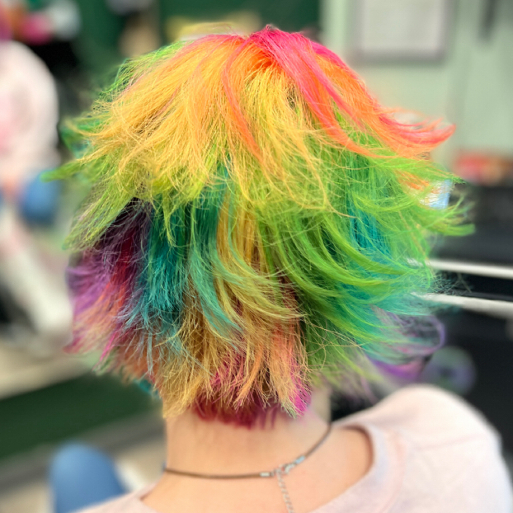 Creative Color at Starling Hair Studio in Schaumburg, IL