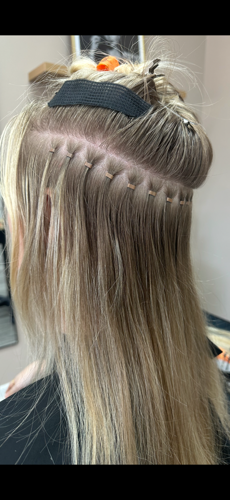 Extension Move Up at The Shades Of Lane in Mobile, AL