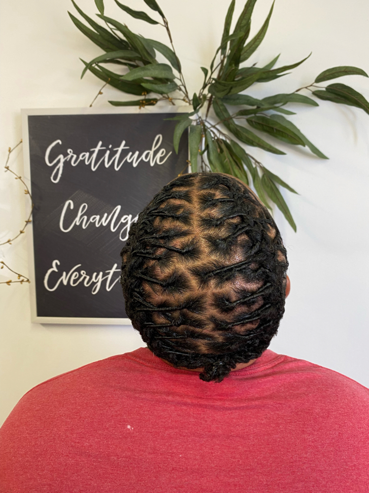 Retwist+Style Locs Whole Crown