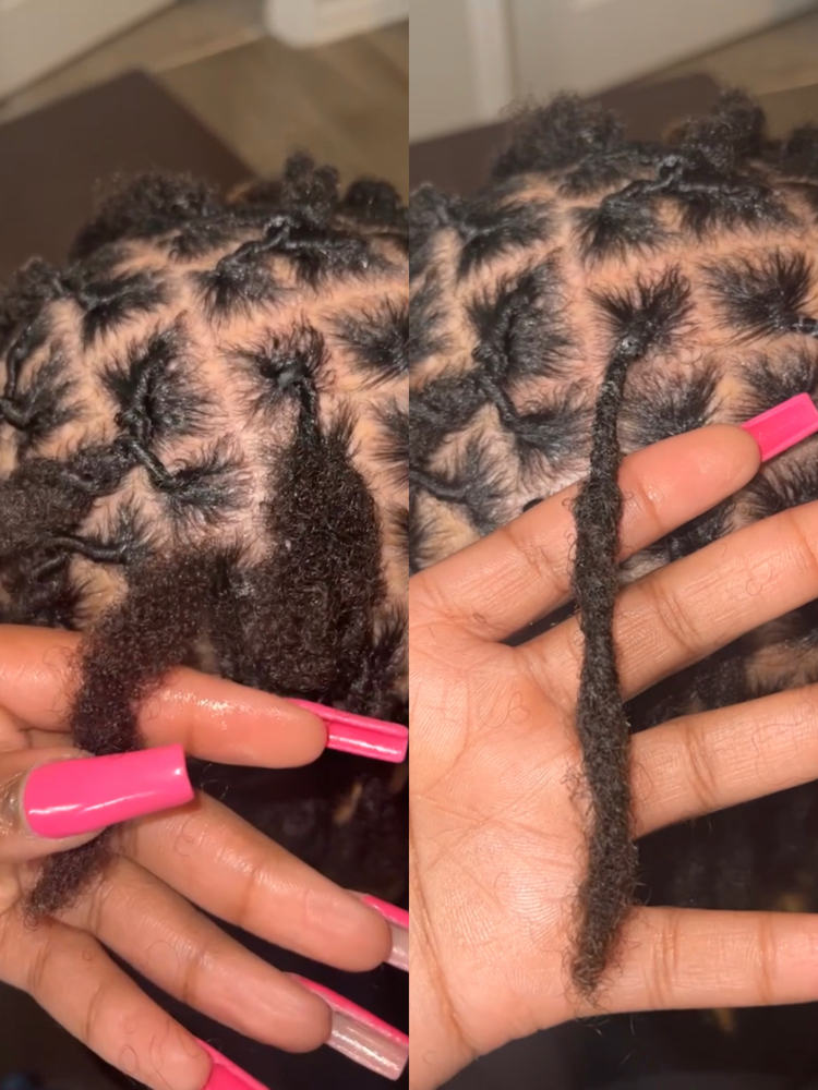 Loc Reattachment/ Loc Extensions