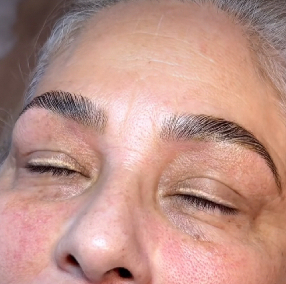 BROW LAMI, TINT & WAX at Lakutis Skin Therapy in Houston, TX