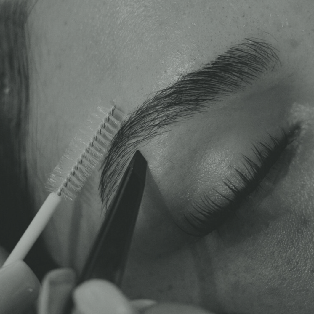 MODEL CLIENT BROW WAX