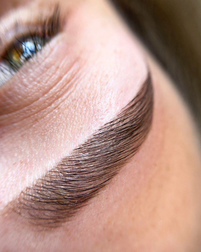 Eyebrow Set (shaping+tinting)