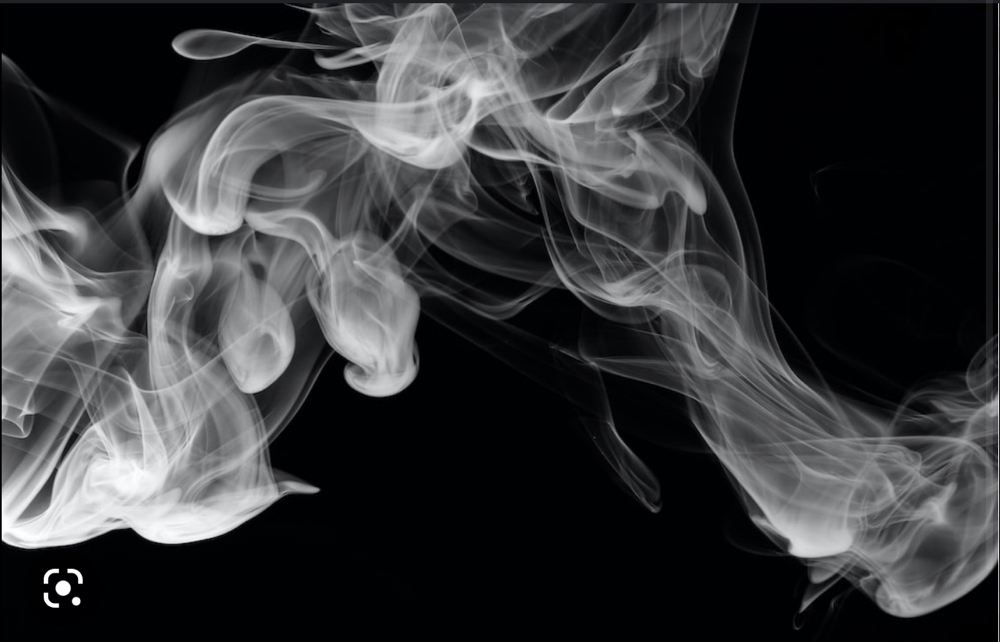 Smoke Fee 🍃💨