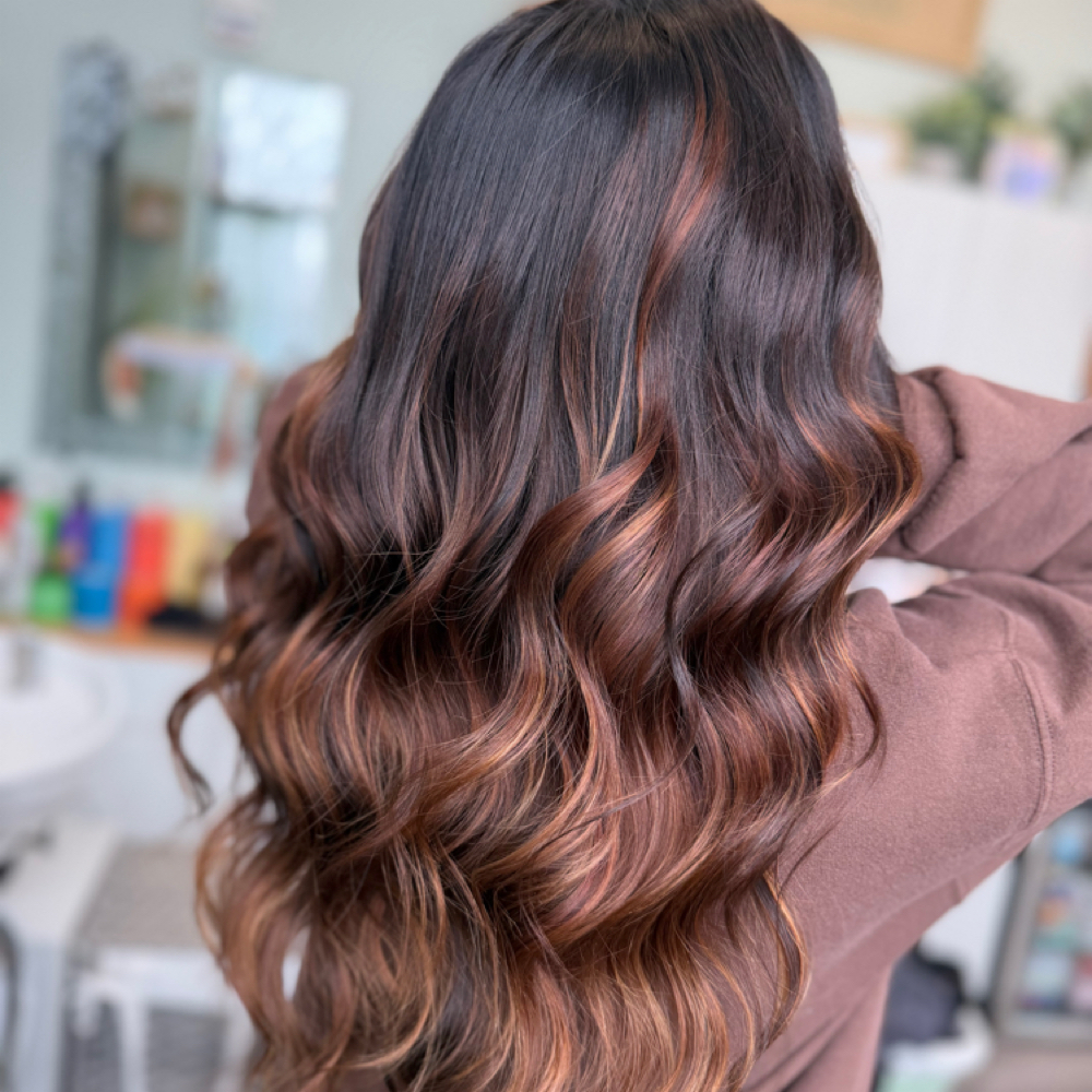 COLOR + HAIRCUT at Wild Bloom Hair Studio in Wyomissing, PA