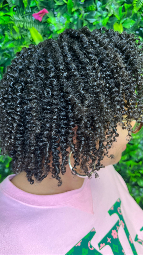 Two Strand Twist Out w/ Steam