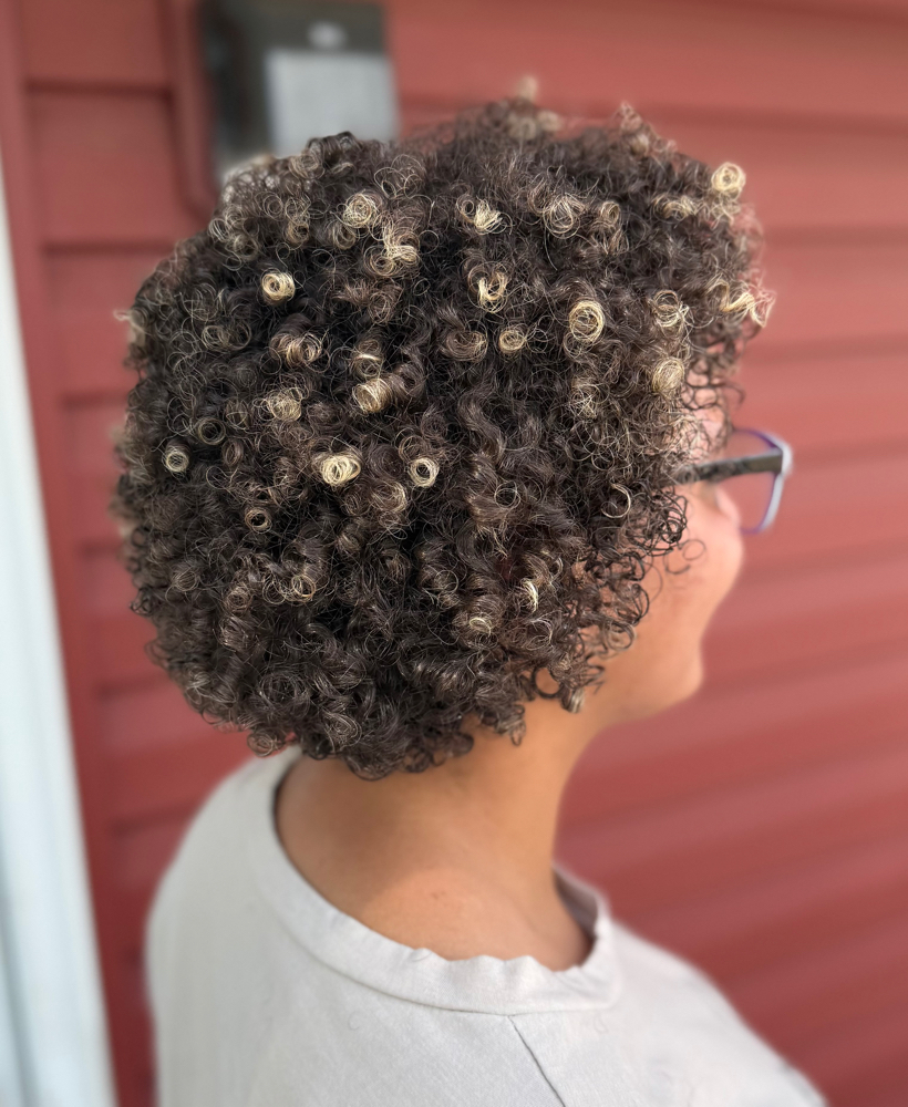 Curly Cut + Style (Return Guests)