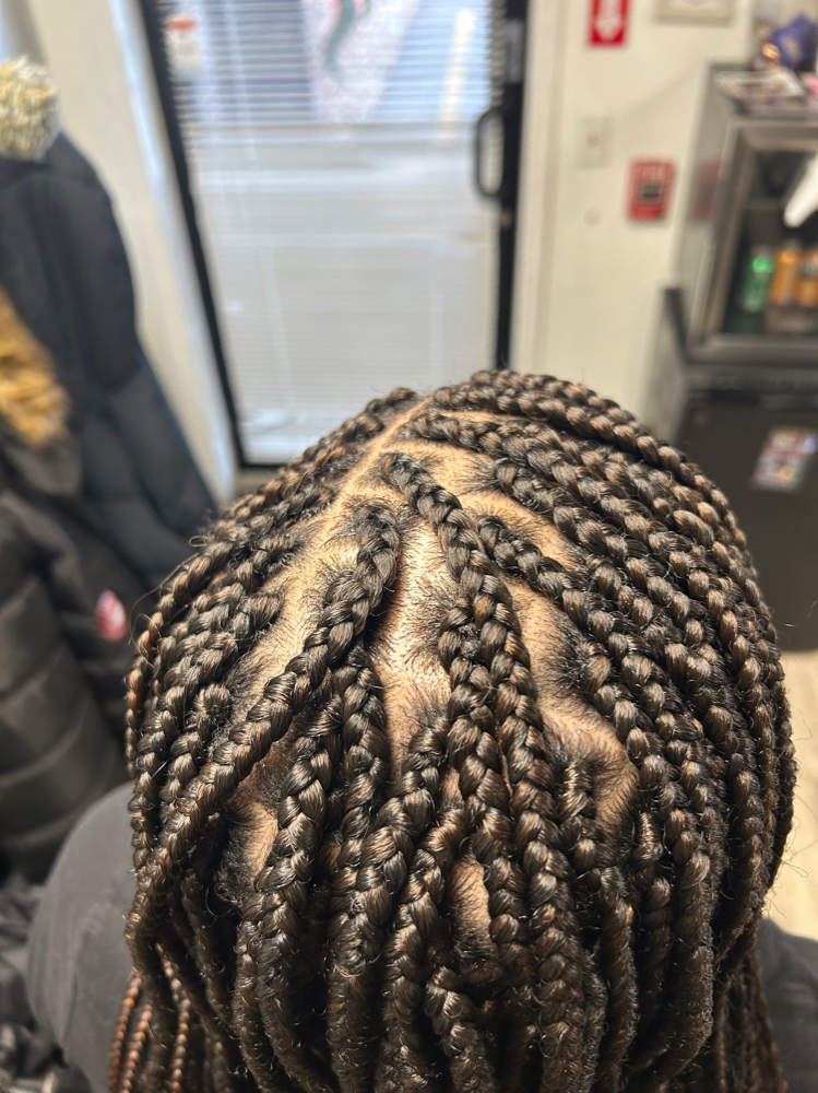 Small/Med Box Braids