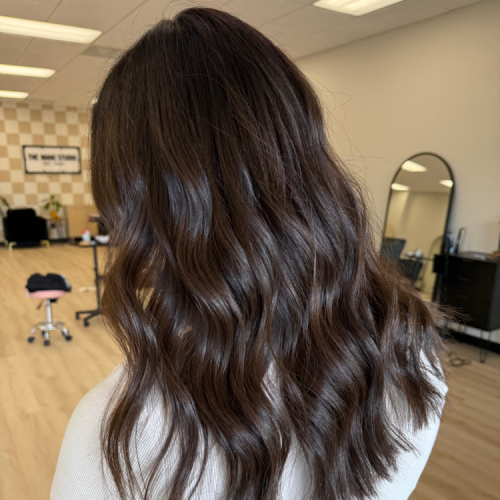ALL OVER COLOR at The Mane Studio in Fremont, IN