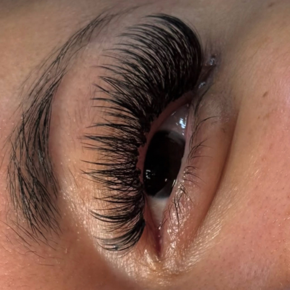 Volume / Wispy Lashes at Nailed It Ellie in Buena Park, CA