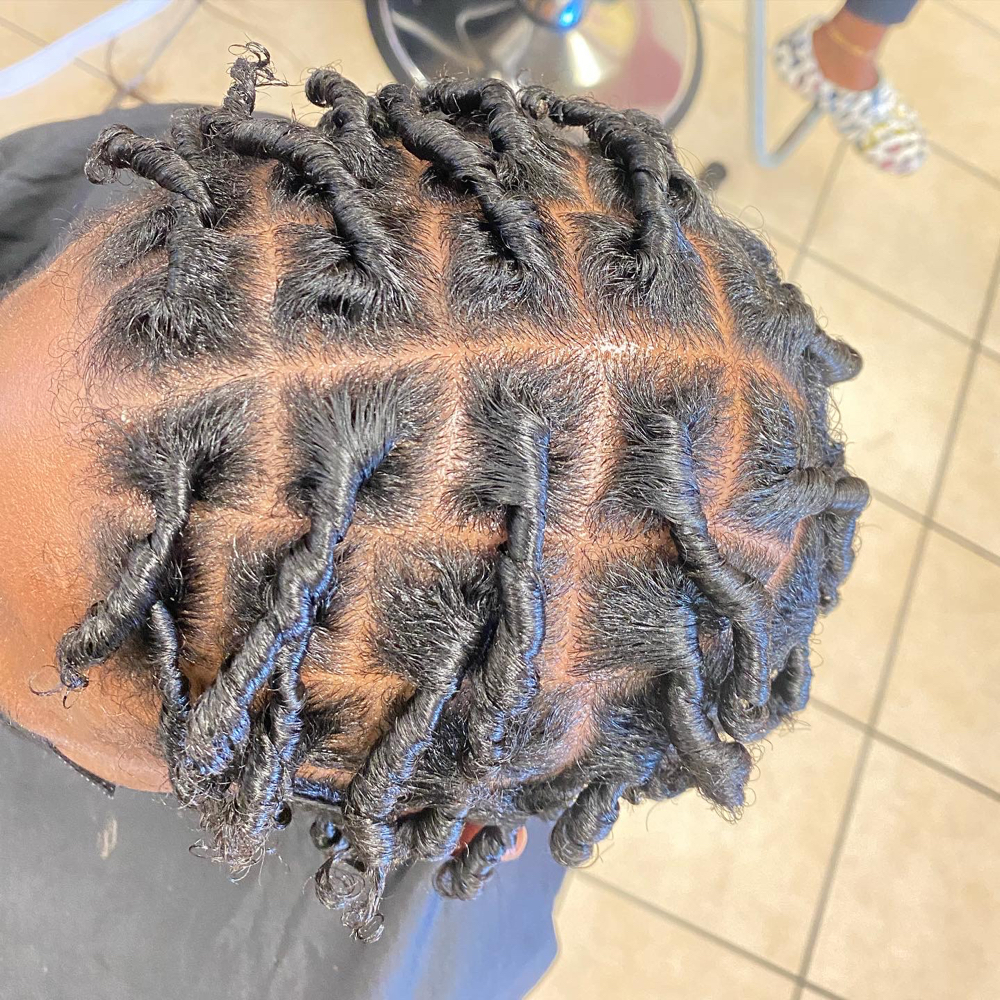 Large Starter Locs