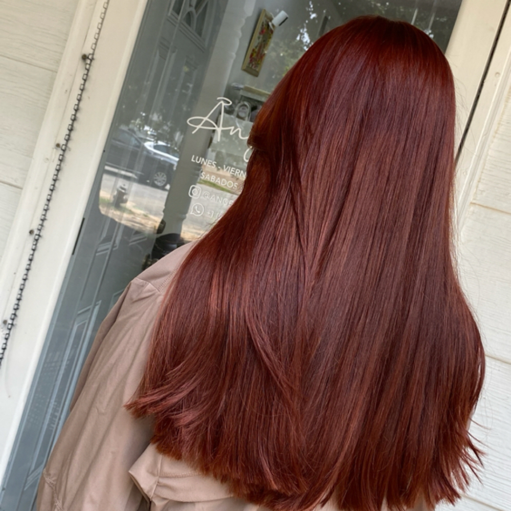 Hair Color/Color Cabello at Angels by Manu in Bartlett, TN
