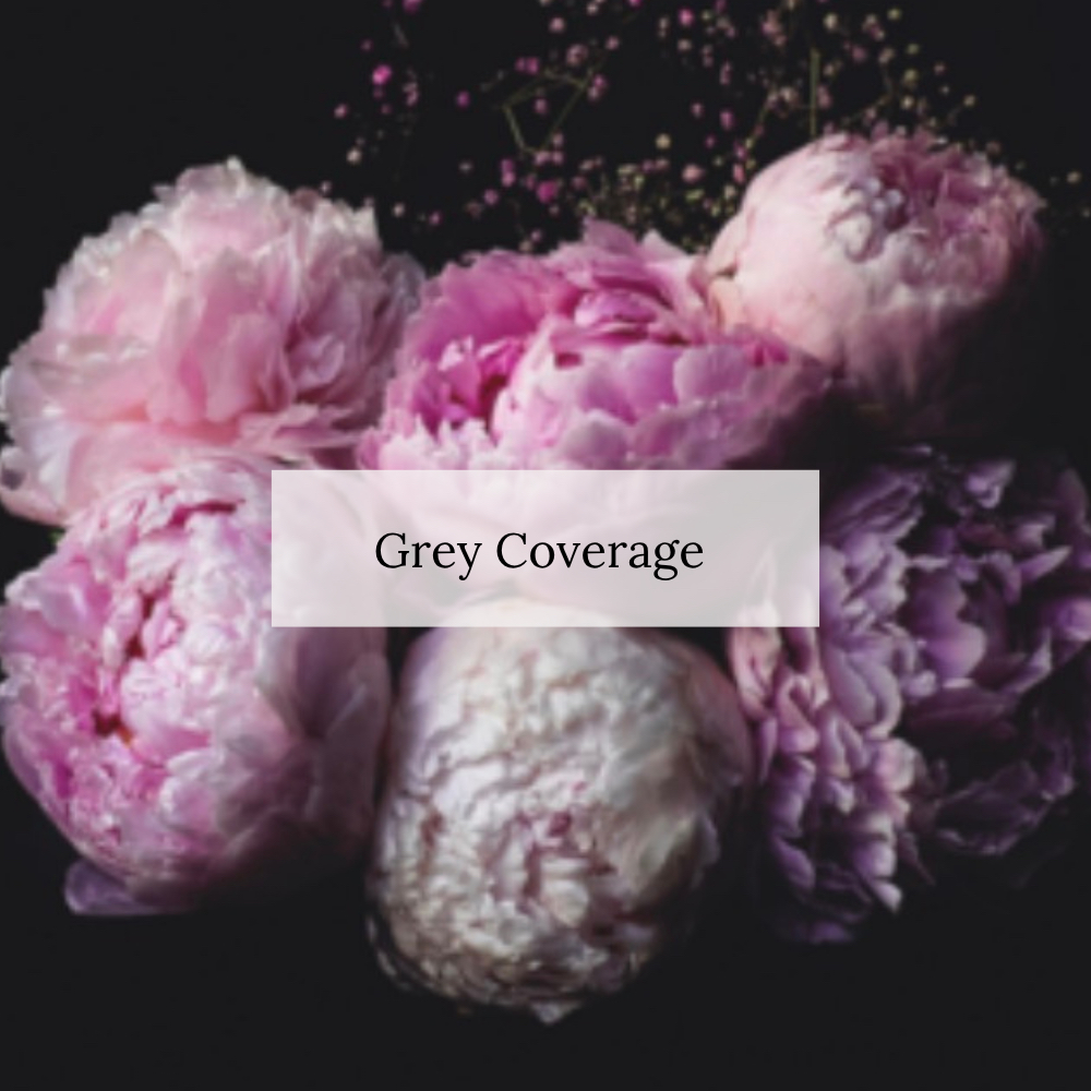 grey coverage at Tracy Strands & Serums in tracy, CA
