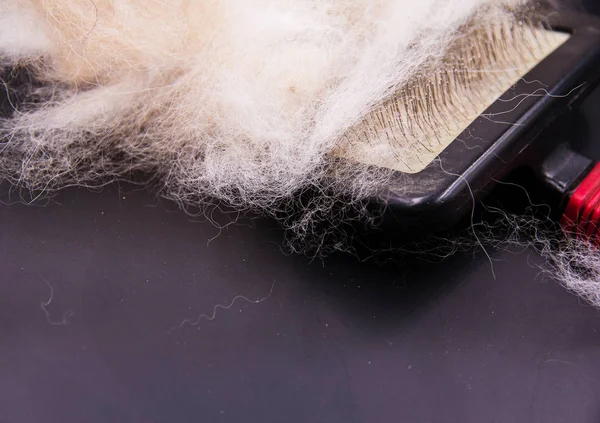 Add On~ Deshedding Treament