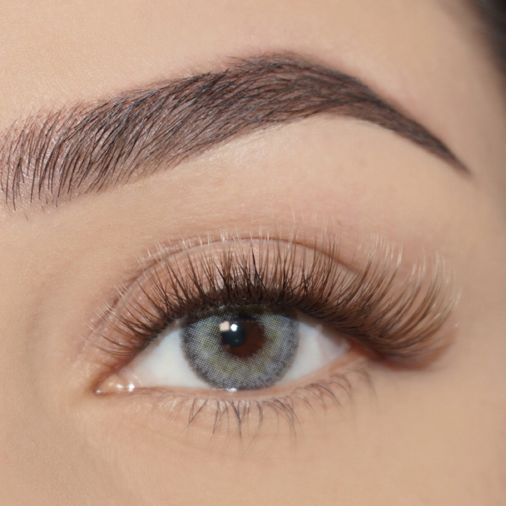 Brown Lash Full Set at Flourish Beauty NY in Fishkill, NY