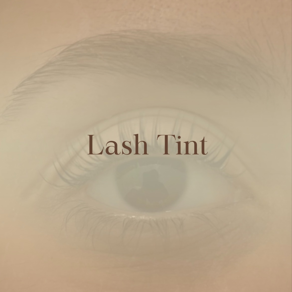 Lash Tint at Kat-Le Studio in Thousand Oaks, CA