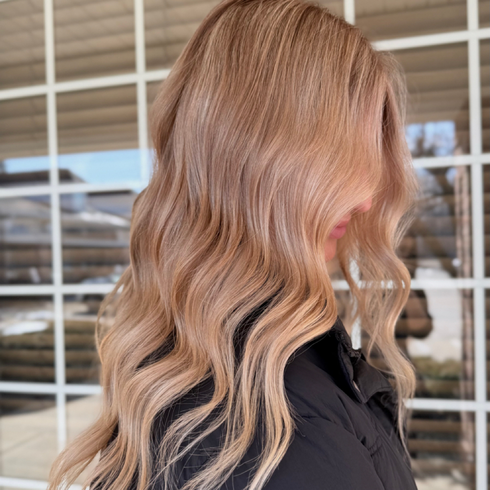 Partial Specialty Blonding + Cut at Alexis Icke in Medina, OH