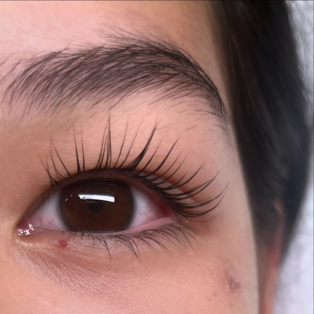 Lash Lift & Tint